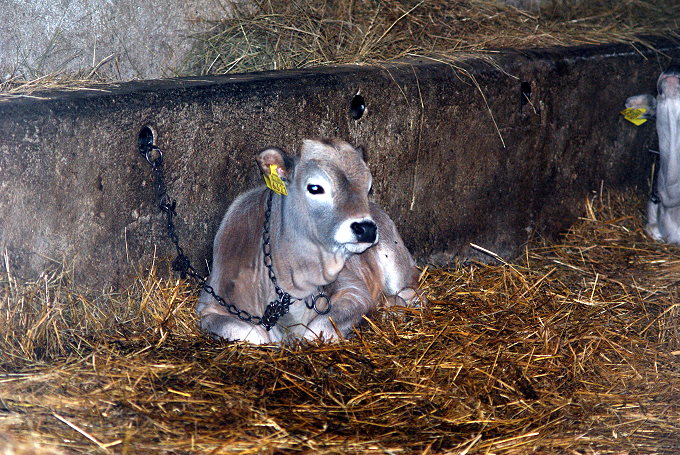 DSC08901-1.jpg