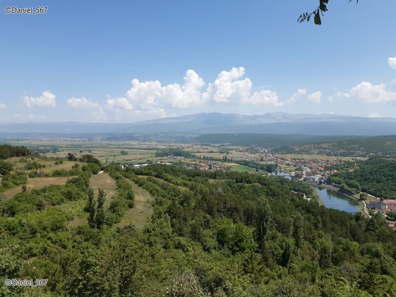 49745848fy.jpg
