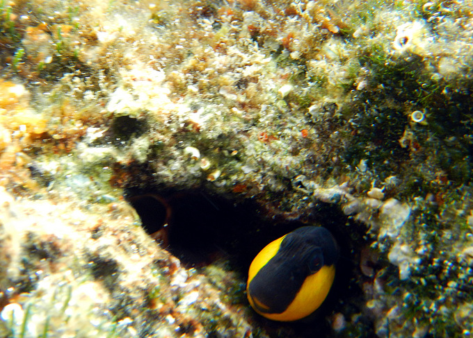 DSCN1488.JPG