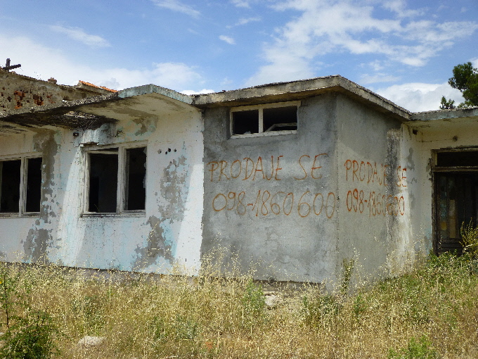 P10805461.jpg