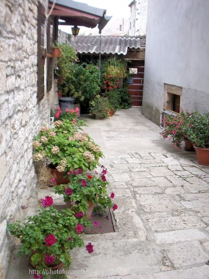 100_9709.JPG