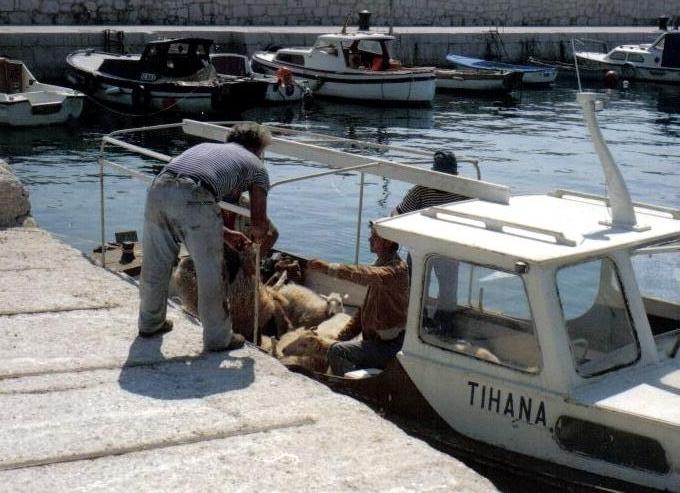 baska__aug.1989_007kl.jpg