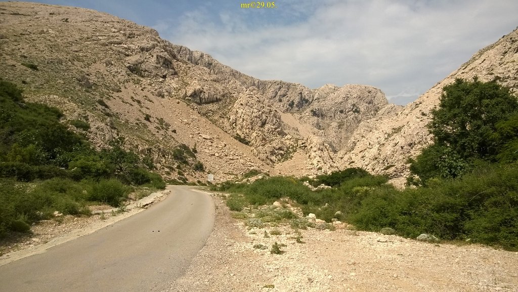 32831390dz.jpg