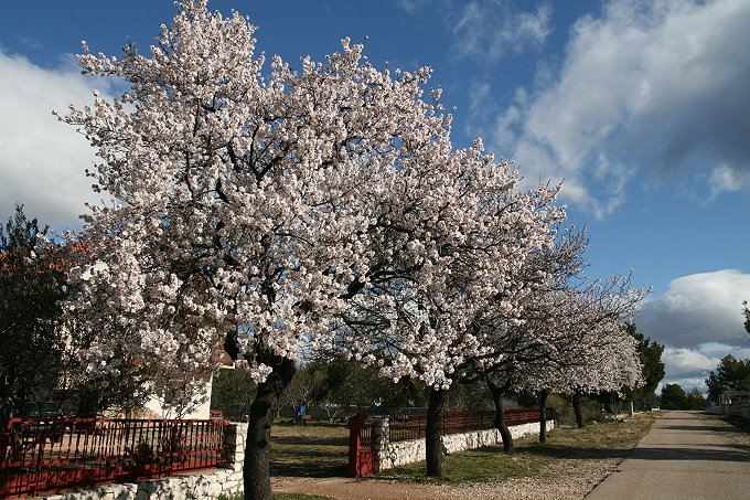 2_SIBENIK_013680.jpg