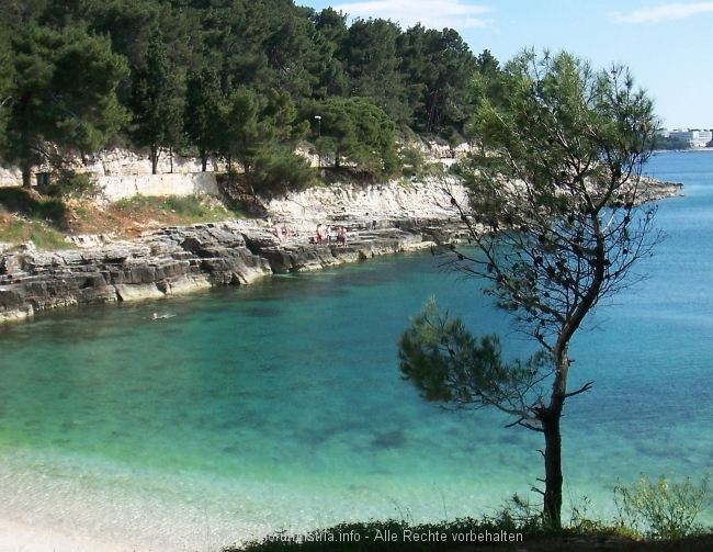 Lungo_019.jpg