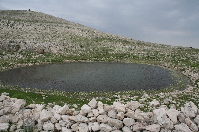 070.jpg