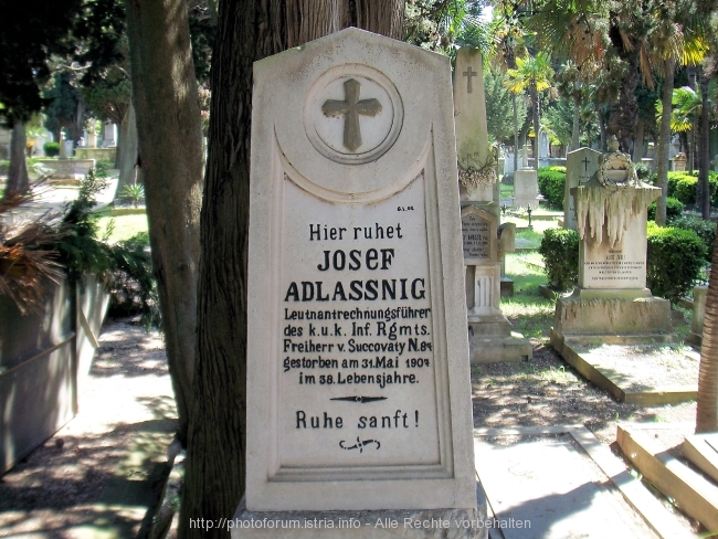 28_4736.jpg