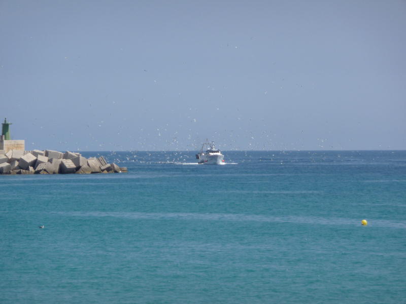 13381781sb.jpg