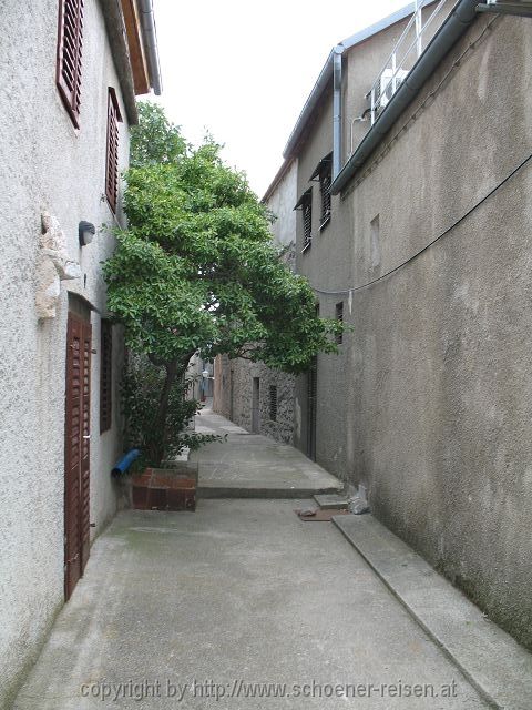 Kb-IMG_0263.JPG
