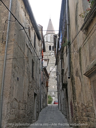PICT5797-1.jpg