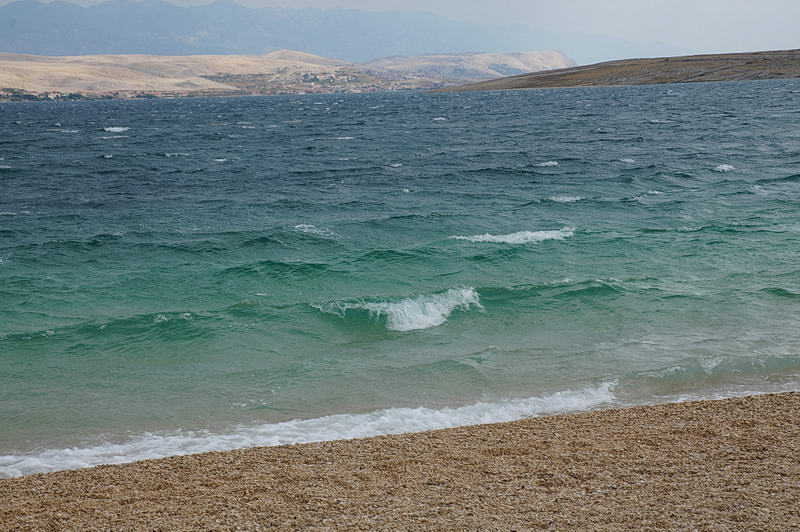 DSC04954-1.jpg