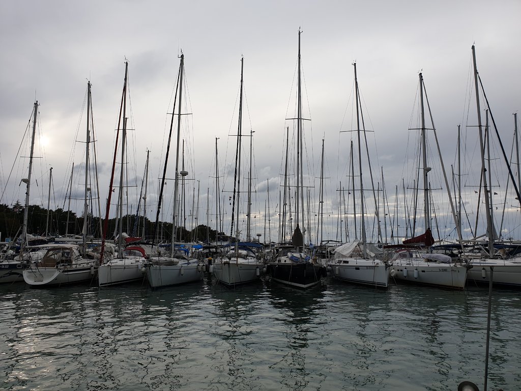 40232665bv.jpg