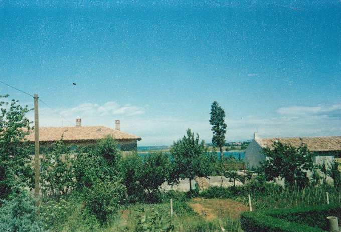 dajla_0001.jpg