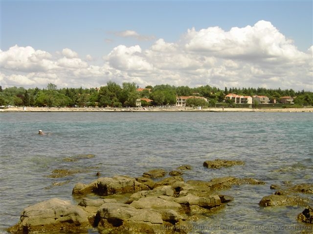 PICT0534.JPG