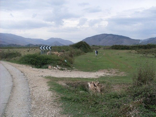 SDC11353.JPG