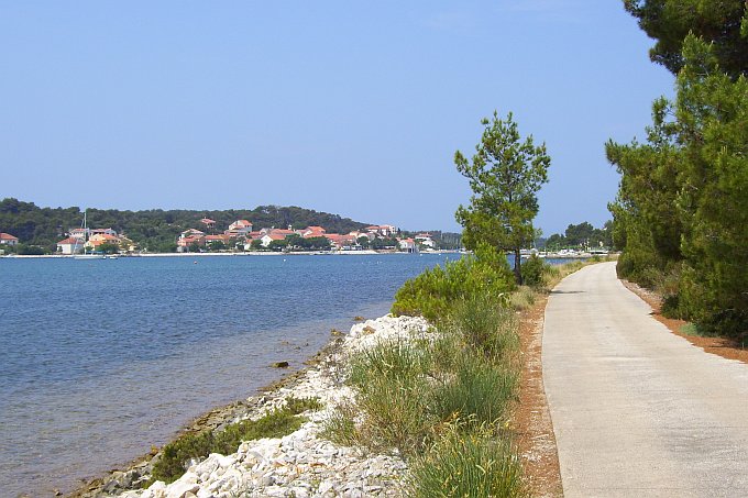 100_8264.jpg