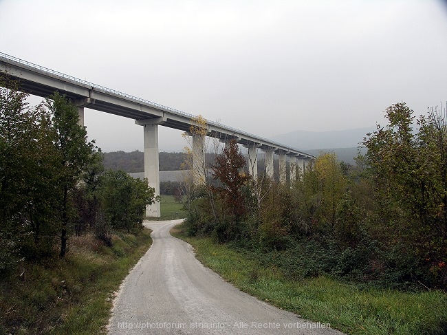 PICT8987-1.jpg