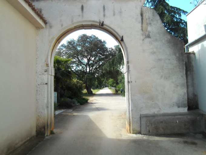 PICT0035.jpg