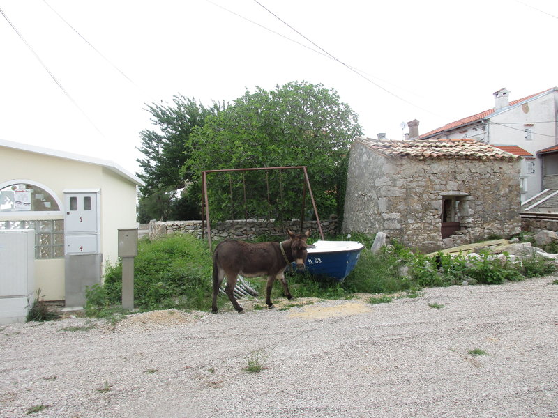 29004942md.jpg
