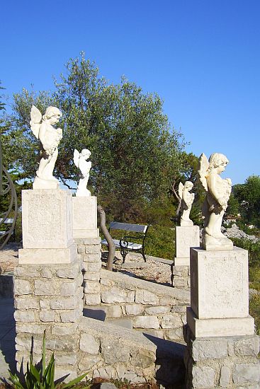 1469.jpg