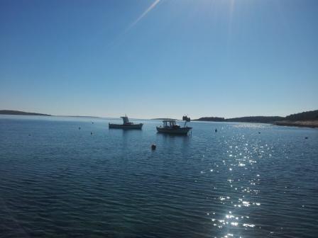 20130303_112504.jpg