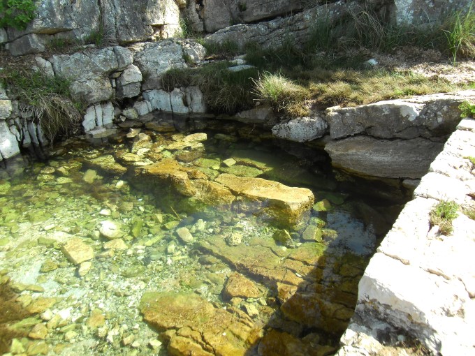 1708_2.jpg