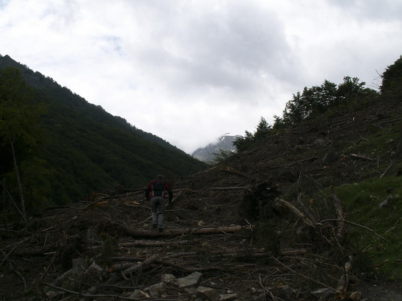 20122963jd.jpg