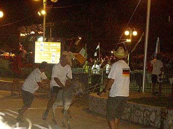 Tisno_078.jpg