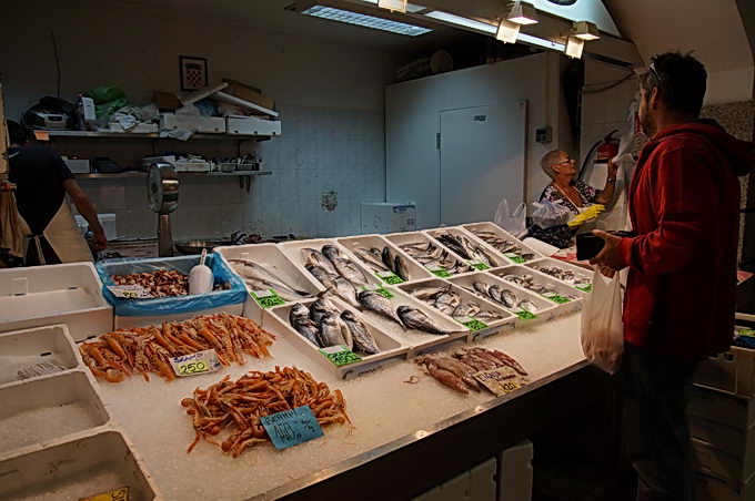 DSC08101-1.jpg