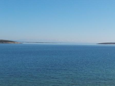 20130303_113211.jpg