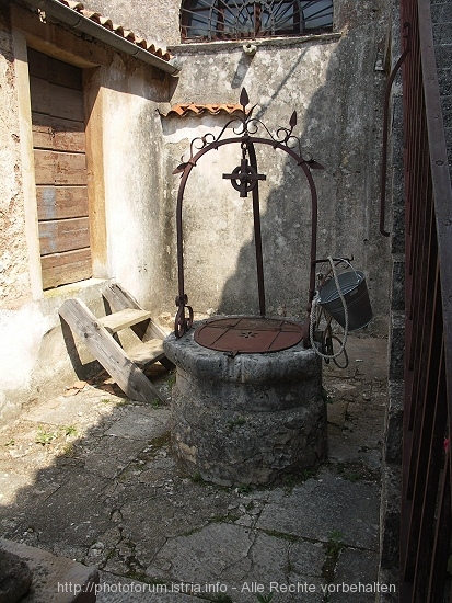 PICT3009-1.jpg