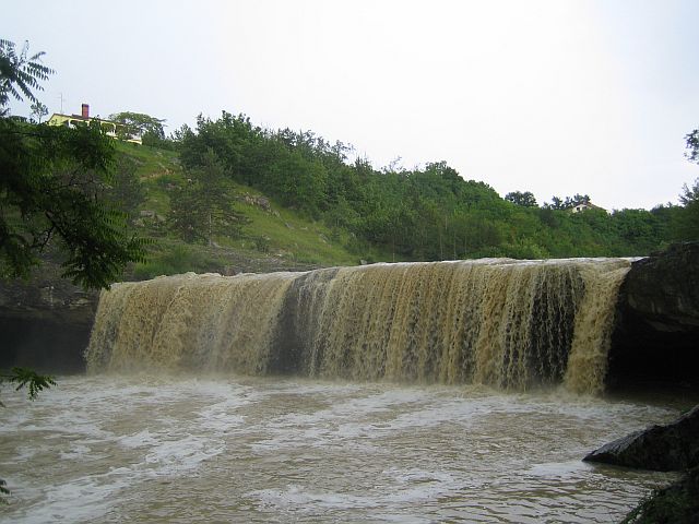 liznjan_juni2011_207.jpg