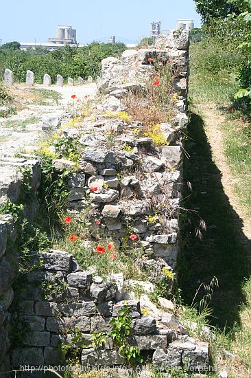 SALONA_Put_Salona-Weg_IMG_4152.jpg