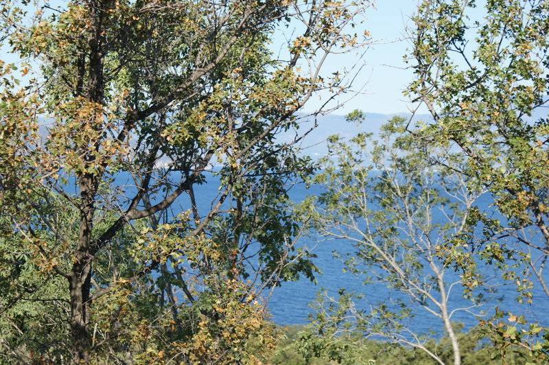 32311336sw.jpg