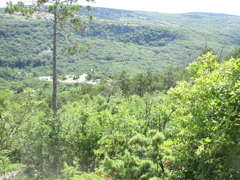 29649600px.jpg
