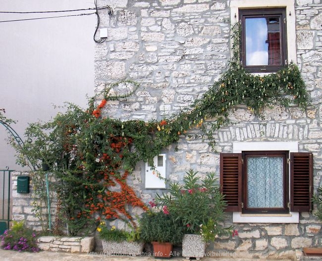 100_9639.JPG