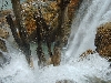 IMAG0085.jpg