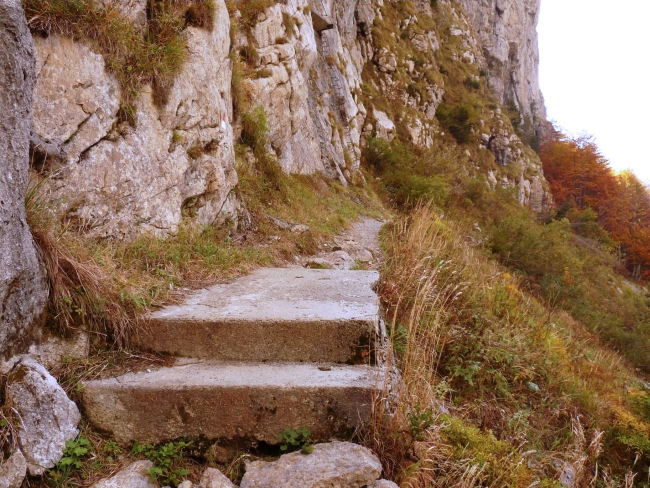 P1240220.JPG