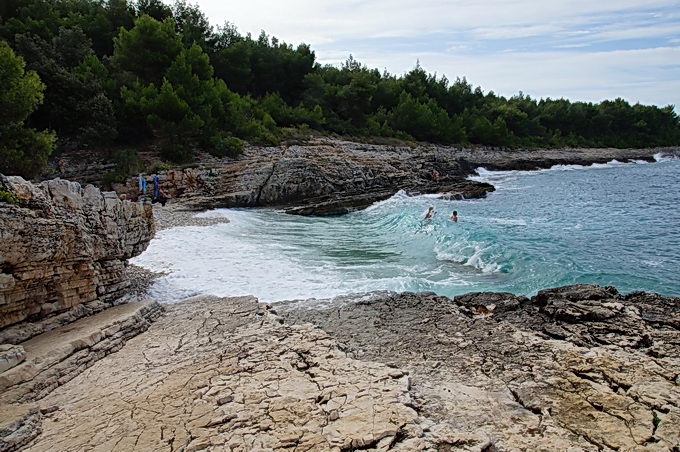 DSC07783-1.jpg