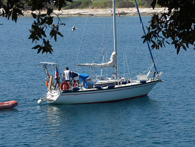P1050355a.jpg