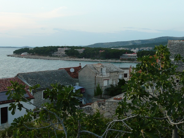 P1150514.JPG