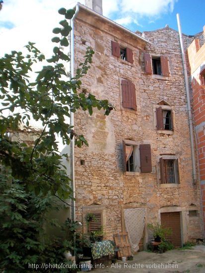 100_9504.JPG