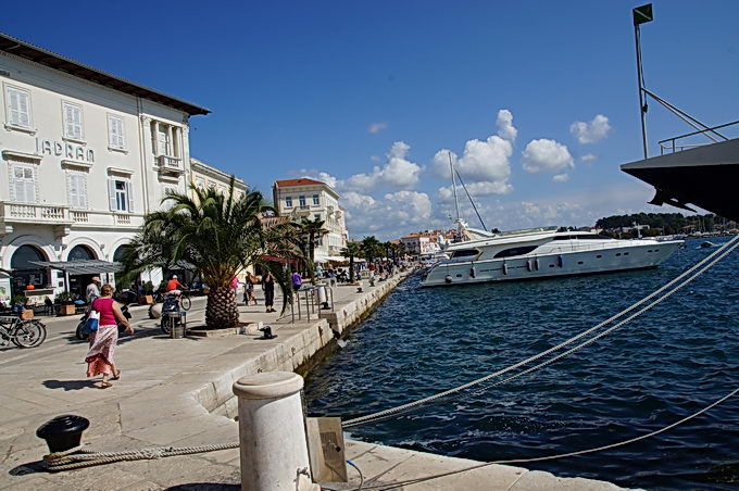 DSC07742-1.jpg