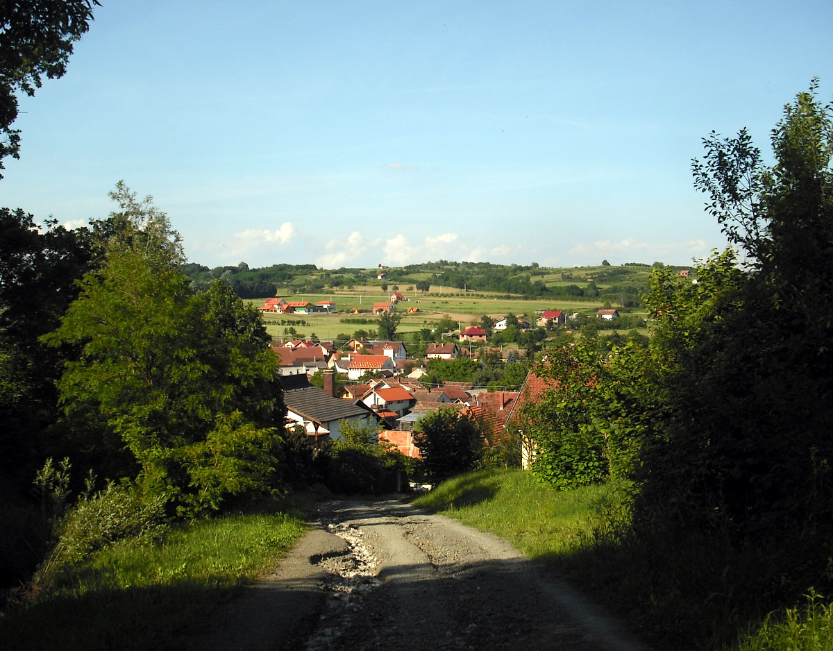f11739433t527251p7755753n2.jpg