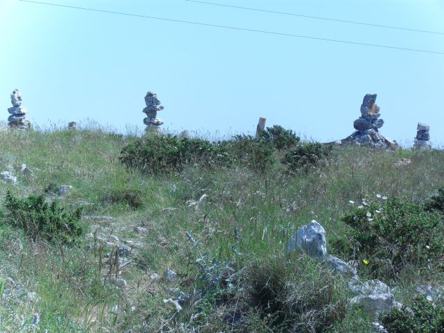 6.5..2011_024.jpg