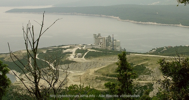 PICT6310-1.jpg