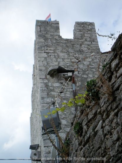 100_9699.JPG