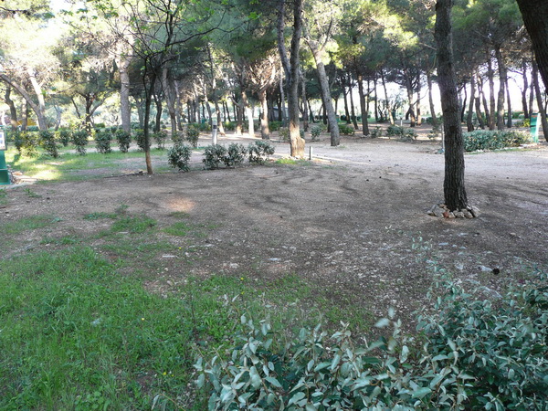 P1180133_Bildgre_ndern.JPG
