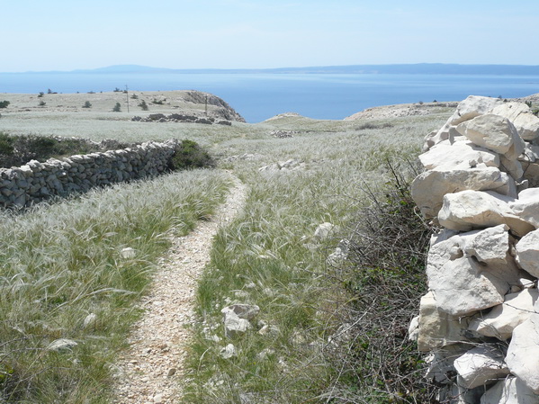 P1220935_Bildgre_ndern.jpg