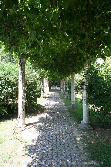 SALONA_TUSCULUM-Put_Salone_IMG_4141.jpg